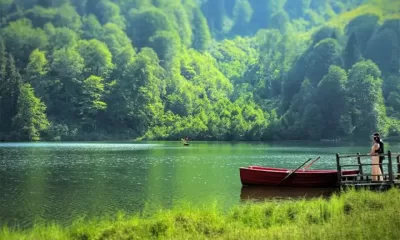 Koruma altındaki alanlar şirketlere açılıyor.